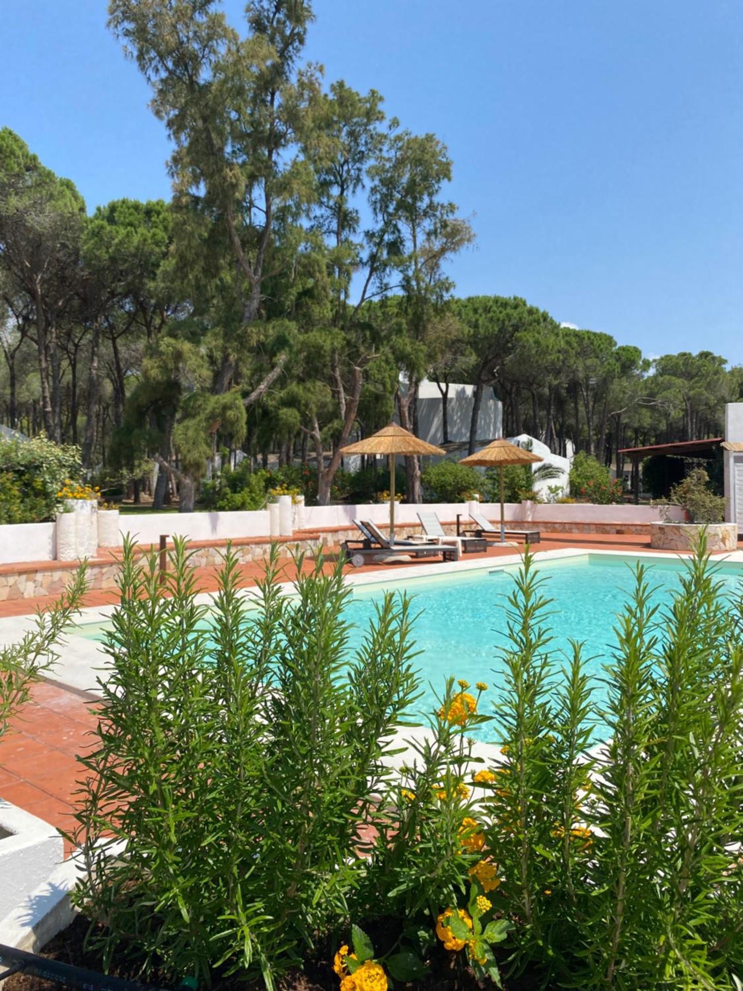 Hotel Mare Pineta Santa Margherita di Pula Esterno foto